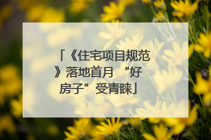《住宅项目规范》落地首月 “好房子”受青睐