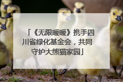 《无限暖暖》携手四川省绿化基金会，共同守护大熊猫家园