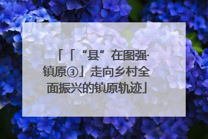 「“县”在图强·镇原③」走向乡村全面振兴的镇原轨迹