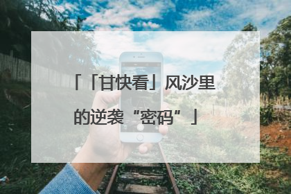 「甘快看」风沙里的逆袭“密码”