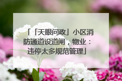 「天眼问政」小区消防通道设道闸，物业：违停太多规范管理