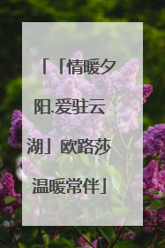 「情暖夕阳.爱驻云湖」欧路莎温暖常伴