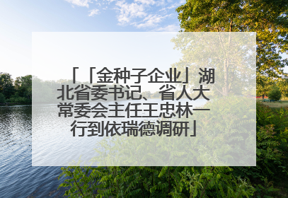 「金种子企业」湖北省委书记、省人大常委会主任王忠林一行到依瑞德调研