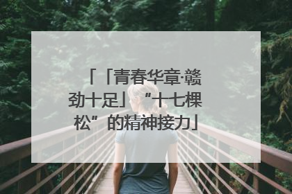 「青春华章·赣劲十足」“十七棵松”的精神接力