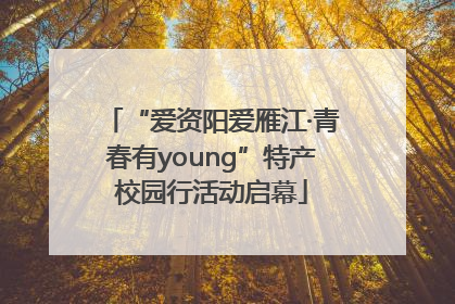 “爱资阳爱雁江·青春有young”特产校园行活动启幕
