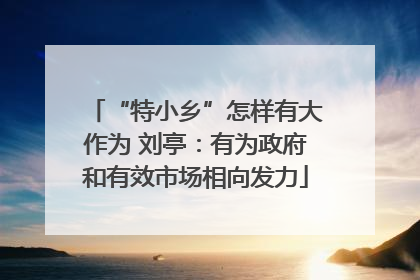 “特小乡”怎样有大作为 刘亭：有为政府和有效市场相向发力