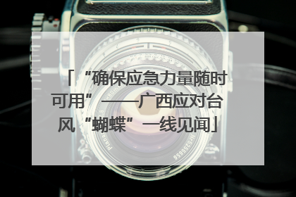 “确保应急力量随时可用”——广西应对台风“蝴蝶”一线见闻