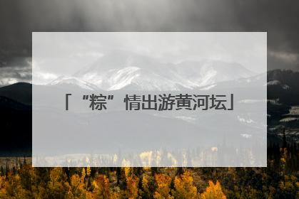 “粽”情出游黄河坛