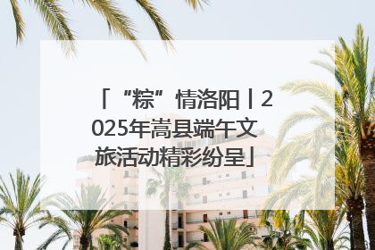 “粽”情洛阳丨2025年嵩县端午文旅活动精彩纷呈