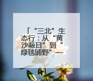 “三北”生态行：从“黄沙蔽日”到“绿毯铺野”——浑善达克沙地的“绿色重生”