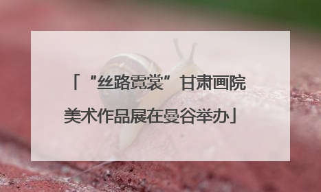 “丝路霓裳”甘肃画院美术作品展在曼谷举办