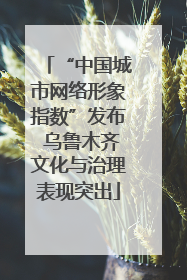 “中国城市网络形象指数”发布 乌鲁木齐文化与治理表现突出