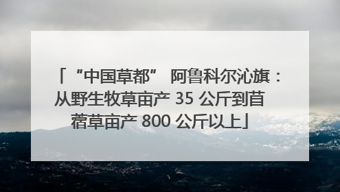 “中国草都” 阿鲁科尔沁旗：从野生牧草亩产 35 公斤到苜蓿草亩产 800 公斤以上