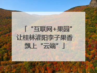 “互联网+果园”让桂林灌阳李子果香飘上“云端”