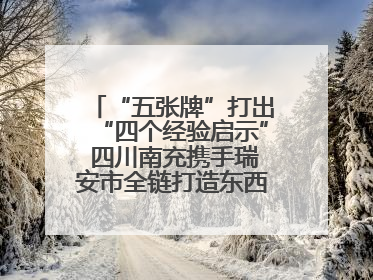 “五张牌”打出“四个经验启示” 四川南充携手瑞安市全链打造东西部“消费协作”