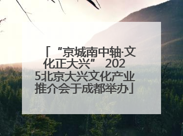 “京城南中轴·文化正大兴” 2025北京大兴文化产业推介会于成都举办