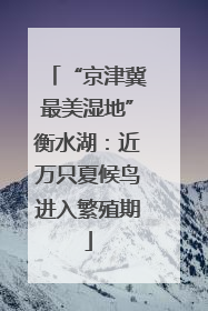 “京津冀最美湿地”衡水湖：近万只夏候鸟进入繁殖期