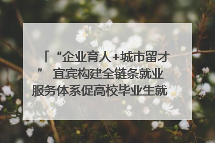 “企业育人+城市留才” 宜宾构建全链条就业服务体系促高校毕业生就业｜您牵挂的四川