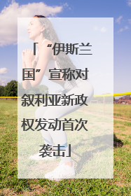 “伊斯兰国”宣称对叙利亚新政权发动首次袭击