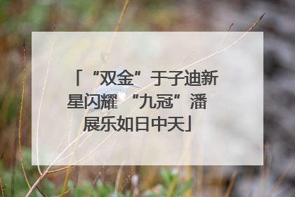 “双金”于子迪新星闪耀 “九冠”潘展乐如日中天