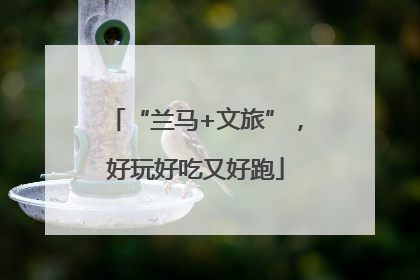 “兰马+文旅”，好玩好吃又好跑