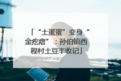 “土蛋蛋”变身“金疙瘩”：孙伯镇西程村土豆丰收记