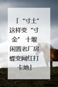 “寸土”这样变“寸金” 十堰闲置老厂房蝶变网红打卡地