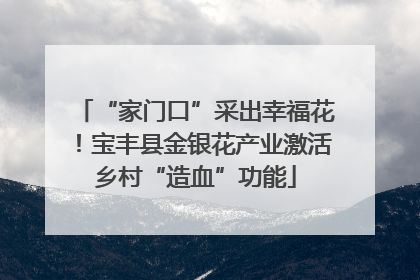 “家门口”采出幸福花！宝丰县金银花产业激活乡村“造血”功能