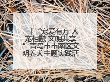“宠爱有方 人宠相融 文明共享”青岛市市南区文明养犬主题实践活动举办