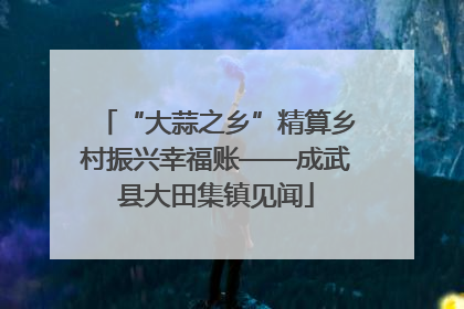 “大蒜之乡”精算乡村振兴幸福账——成武县大田集镇见闻