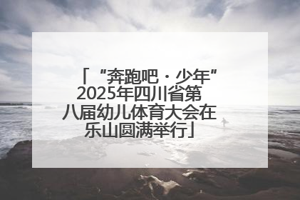 “奔跑吧・少年”2025年四川省第八届幼儿体育大会在乐山圆满举行