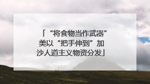“将食物当作武器” 美以“把手伸到”加沙人道主义物资分发