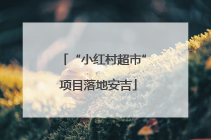 “小红村超市”项目落地安吉
