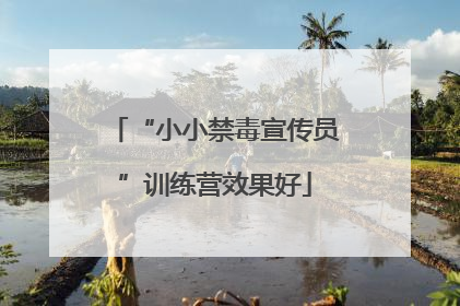 “小小禁毒宣传员”训练营效果好