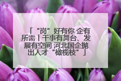 “岗”好有你 企有所需丨干事有舞台、发展有空间 河北国企抛出人才“橄榄枝”