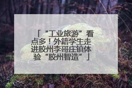 “工业旅游”看点多！外籍学生走进胶州李哥庄镇体验“胶州智造”