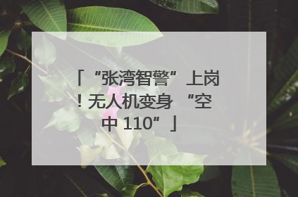 “张湾智警”上岗！无人机变身 “空中 110”