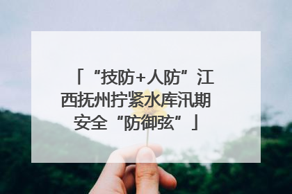 “技防+人防”江西抚州拧紧水库汛期安全“防御弦”