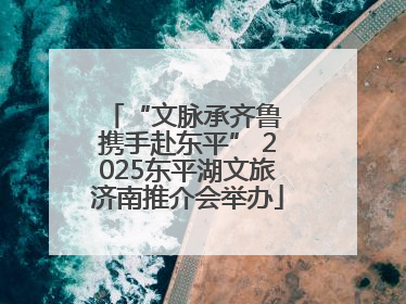 “文脉承齐鲁 携手赴东平” 2025东平湖文旅济南推介会举办