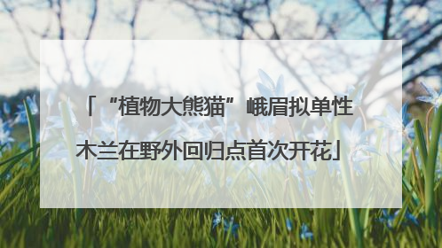 “植物大熊猫”峨眉拟单性木兰在野外回归点首次开花