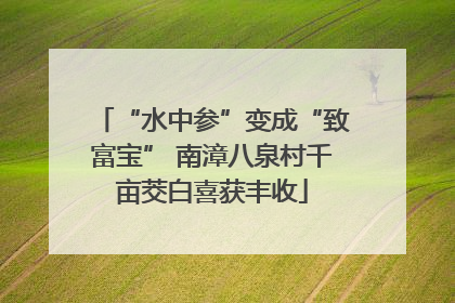 “水中参”变成“致富宝” 南漳八泉村千亩茭白喜获丰收