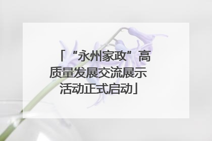 “永州家政”高质量发展交流展示活动正式启动