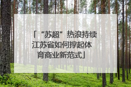 “苏超”热浪持续 江苏省如何撑起体育商业新范式