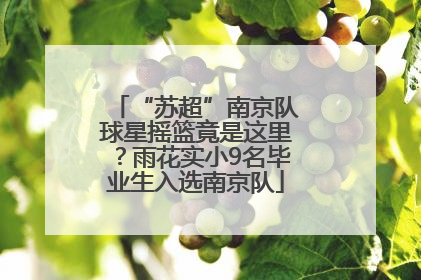 “苏超”南京队球星摇篮竟是这里？雨花实小9名毕业生入选南京队