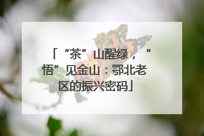 “茶”山醒绿，“悟”见金山：鄂北老区的振兴密码