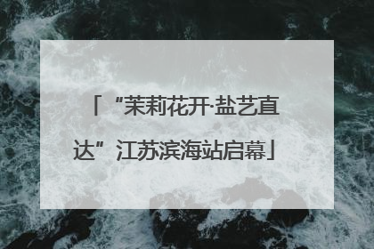 “茉莉花开·盐艺直达”江苏滨海站启幕