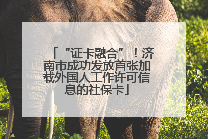 “证卡融合”！济南市成功发放首张加载外国人工作许可信息的社保卡
