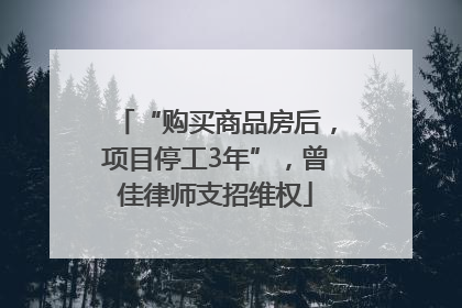 “购买商品房后，项目停工3年”，曾佳律师支招维权