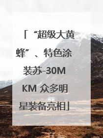 “超级大黄蜂”、特色涂装苏-30MKM 众多明星装备亮相
