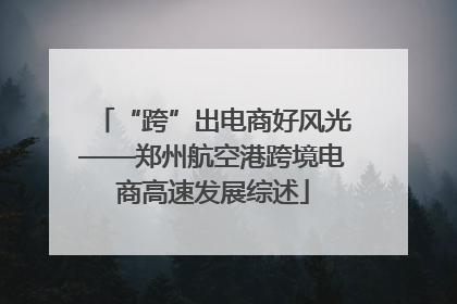 “跨”出电商好风光——郑州航空港跨境电商高速发展综述